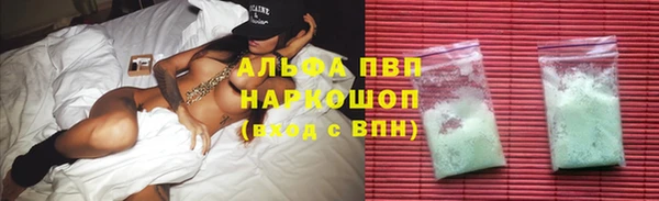 дурь Бородино