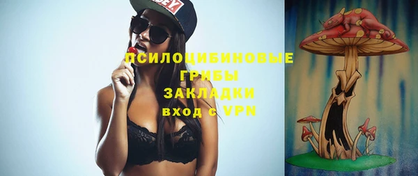 дурь Бородино