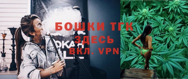 дурь Бородино