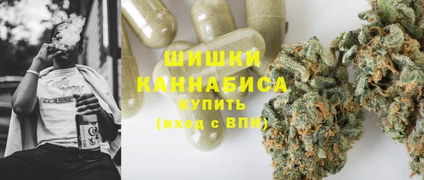 дурь Бородино