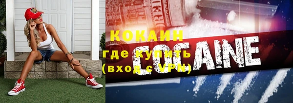 дурь Бородино
