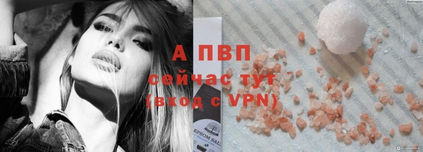 дурь Бородино