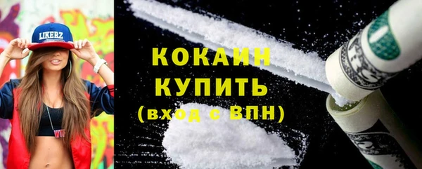 дурь Бородино