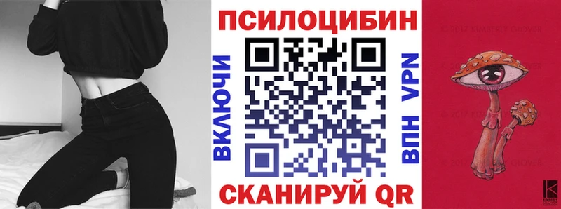 mega   Гусиноозёрск  Галлюциногенные грибы прущие грибы 